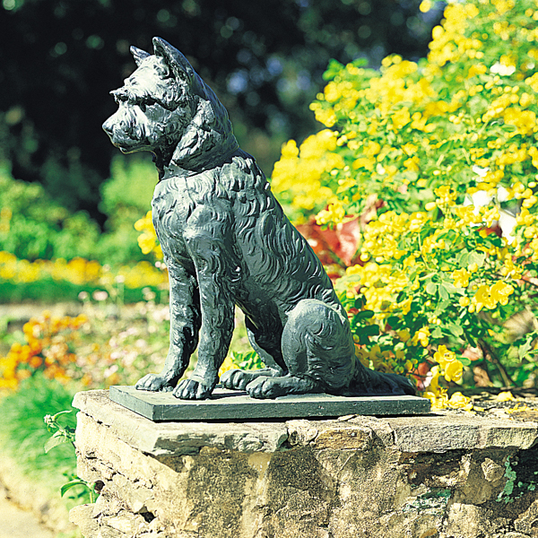 Dog Fountain Products